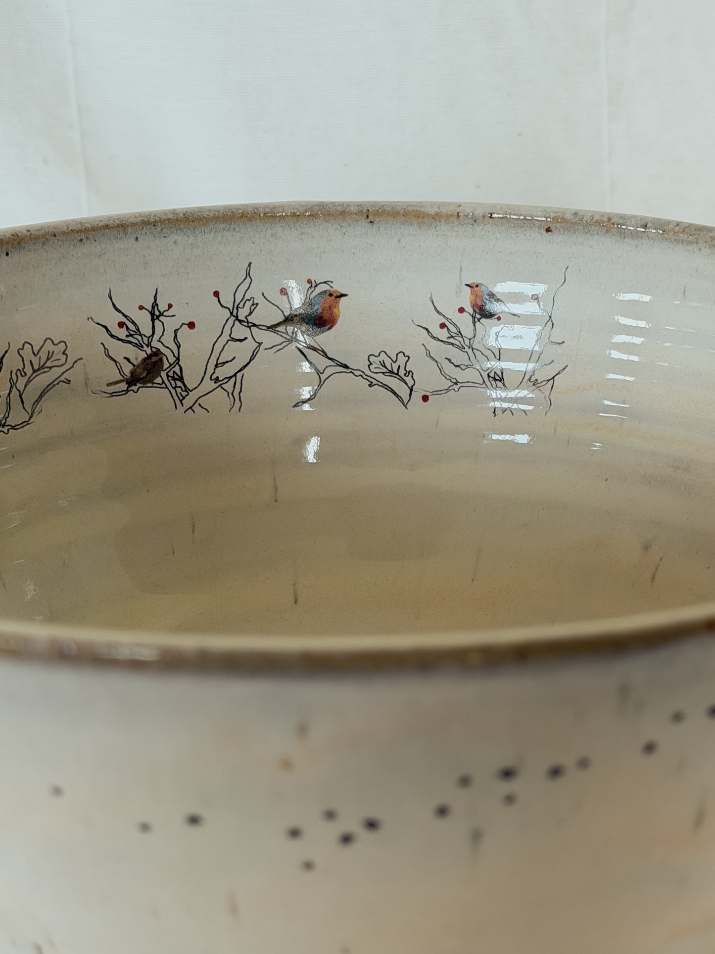 Hedgerow Bird Bowl