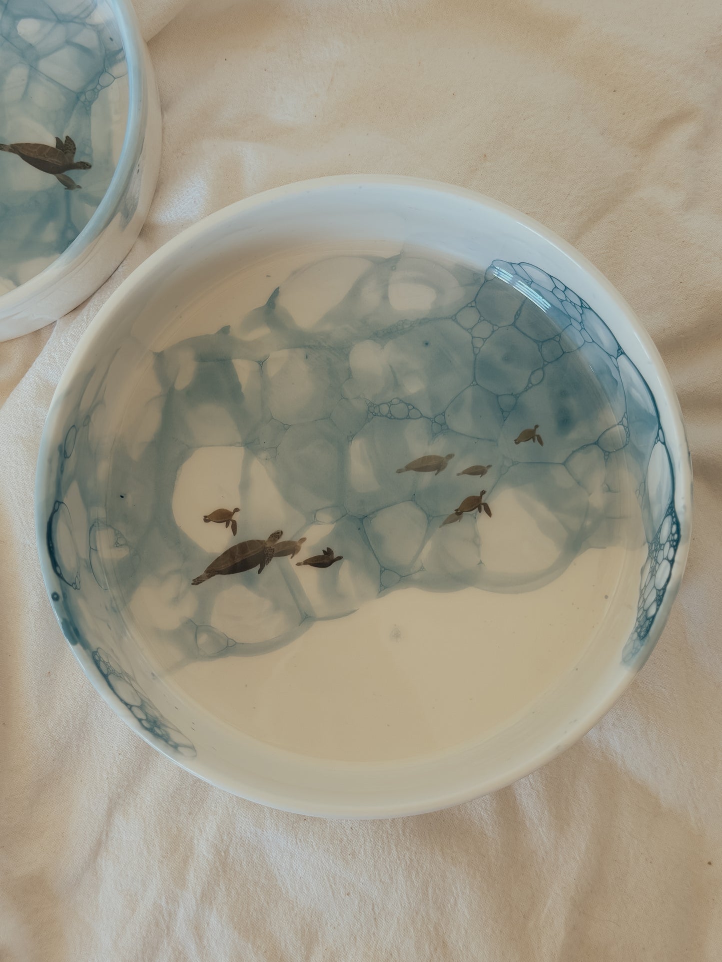 Large Pet Bowl