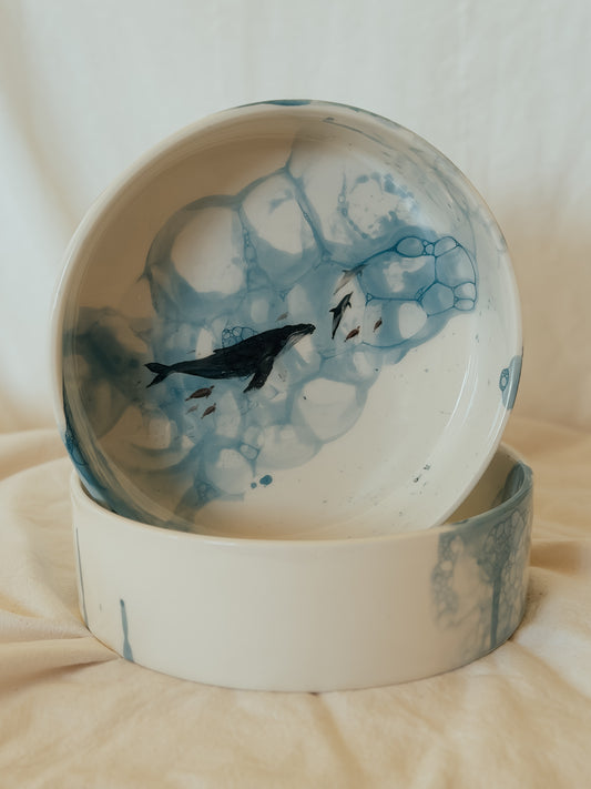 Large Pet Bowl