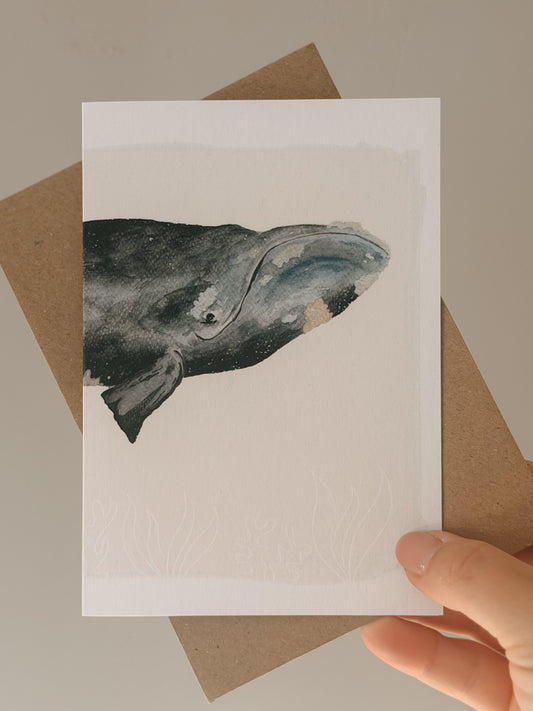 North Atlantic Right Whale Greetings Card