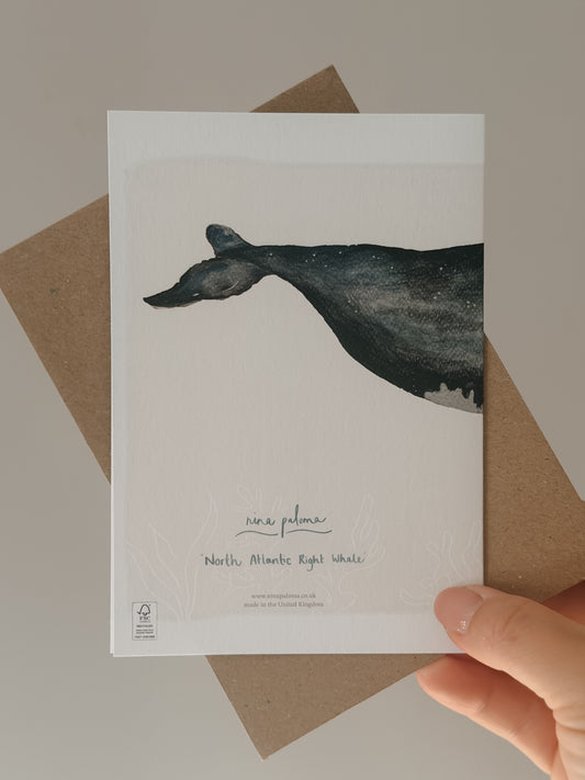 North Atlantic Right Whale Greetings Card