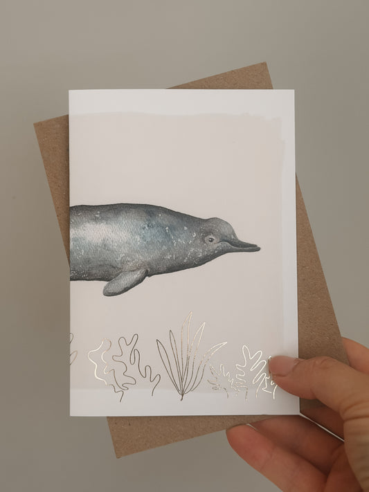 Baird's Beaked Whale Greetings Card