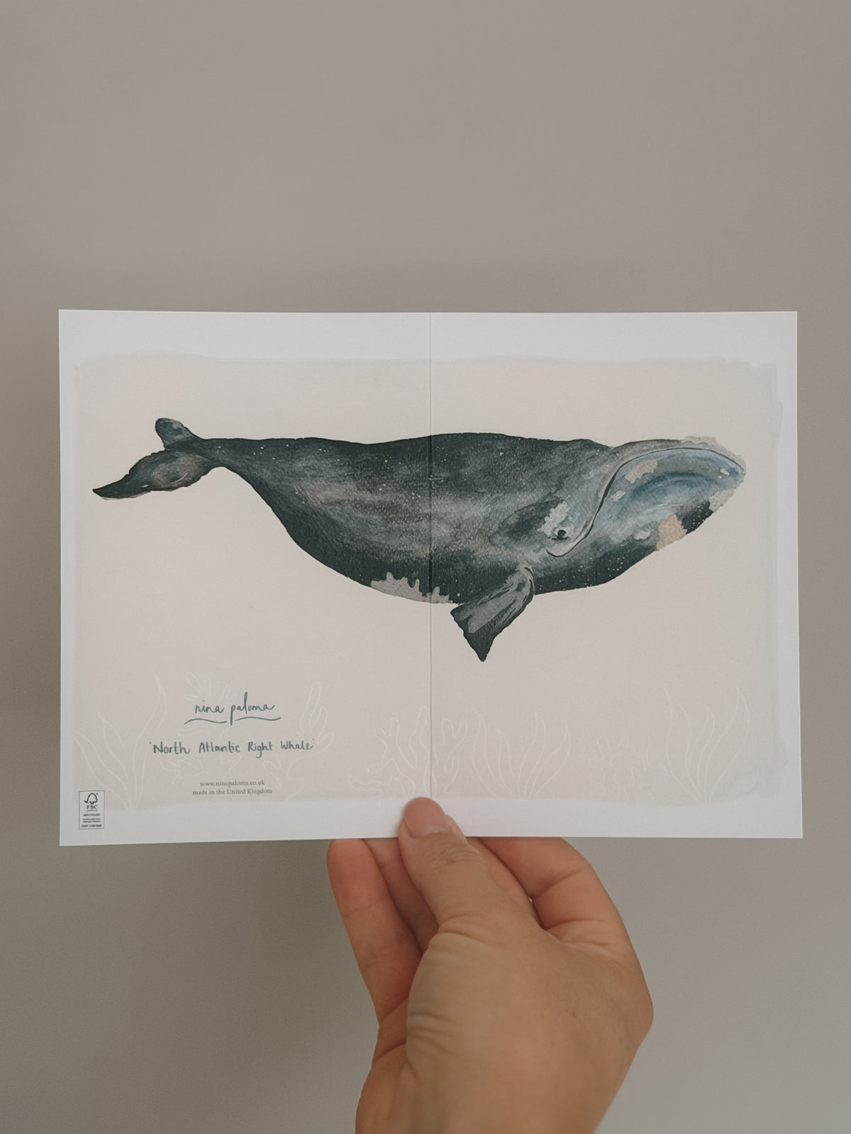North Atlantic Right Whale Greetings Card